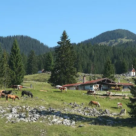 Gaestehaeuser Schwemmbauer Penzion 4*