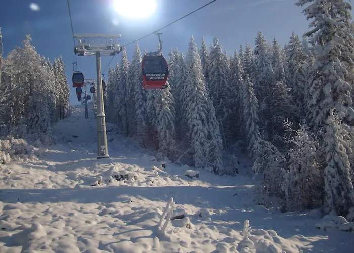 Gaestehaeuser Schwemmbauer 4* Reit im Winkl