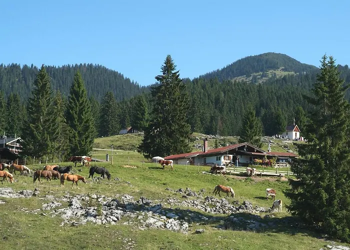Gaestehaeuser Schwemmbauer Guest house 4*